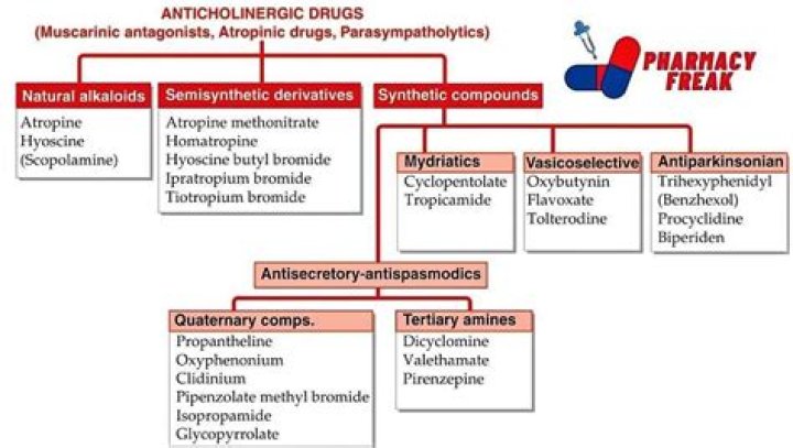 Why are anticholinergic drugs used as urinary antispasmodics?