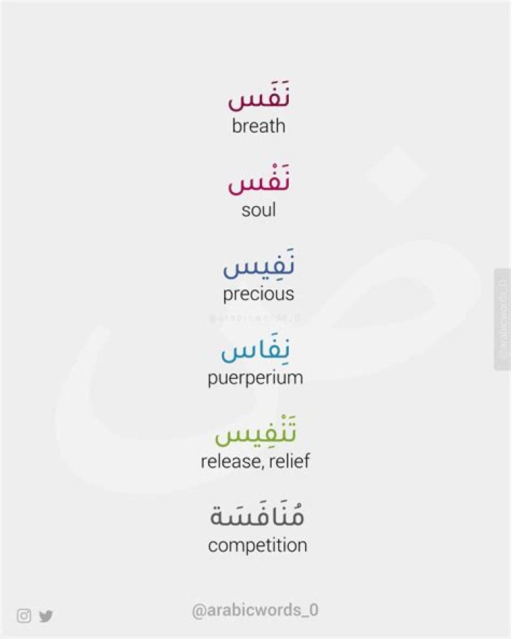 Why are some spanish words borrowed from arabic?