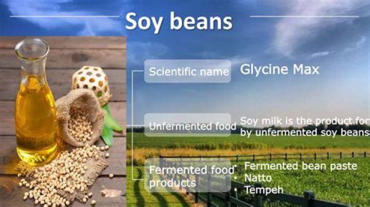 Why are unfermented soy products harmful?
