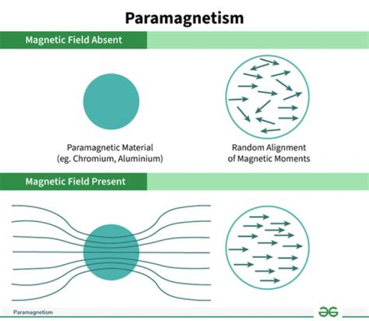 Why diamagnetism is a universal phenomenon?