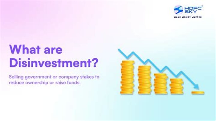 Why does government disinvest?