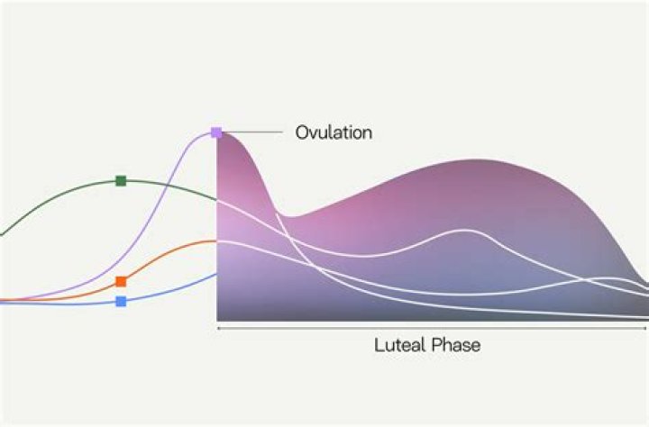 Why does luteal phase vary?