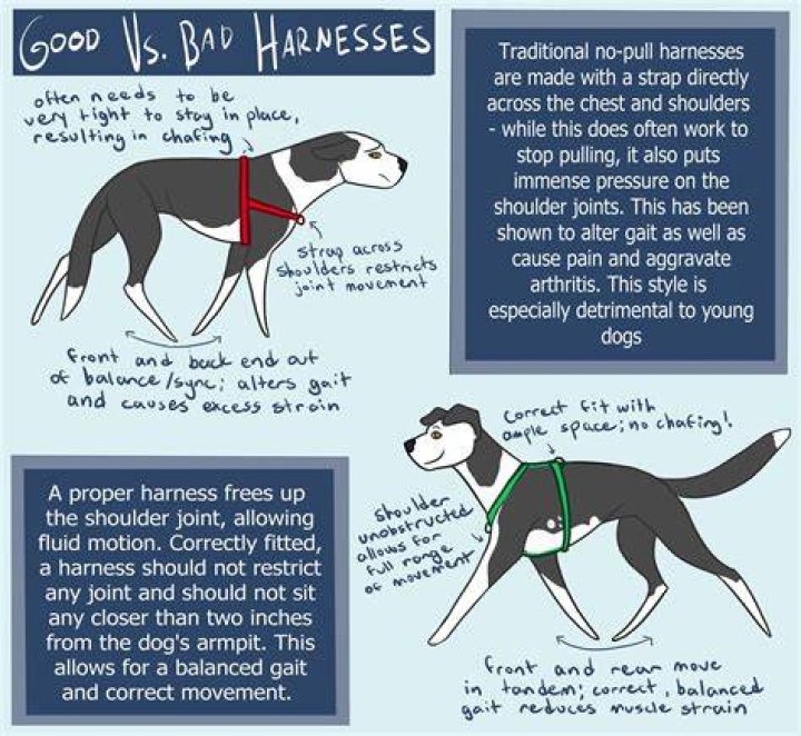Why harnesses are bad?