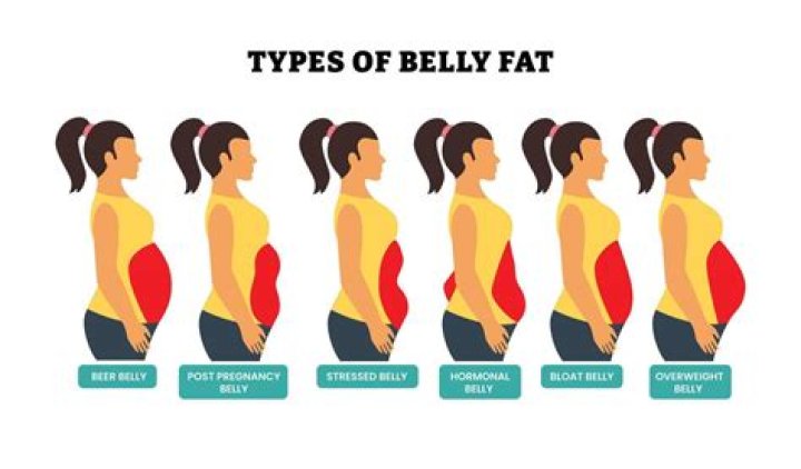 Why is my belly full?