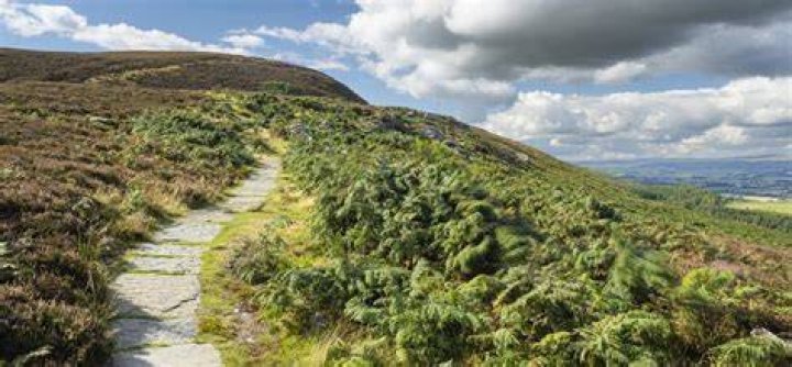 Why is northumberland national park important?