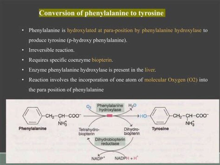 Why phenylalanine is converted to tyrosine?