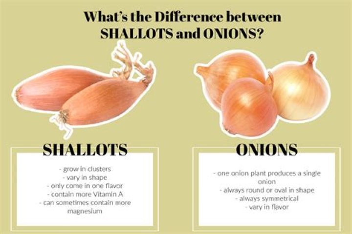 Why shallots are healthy?