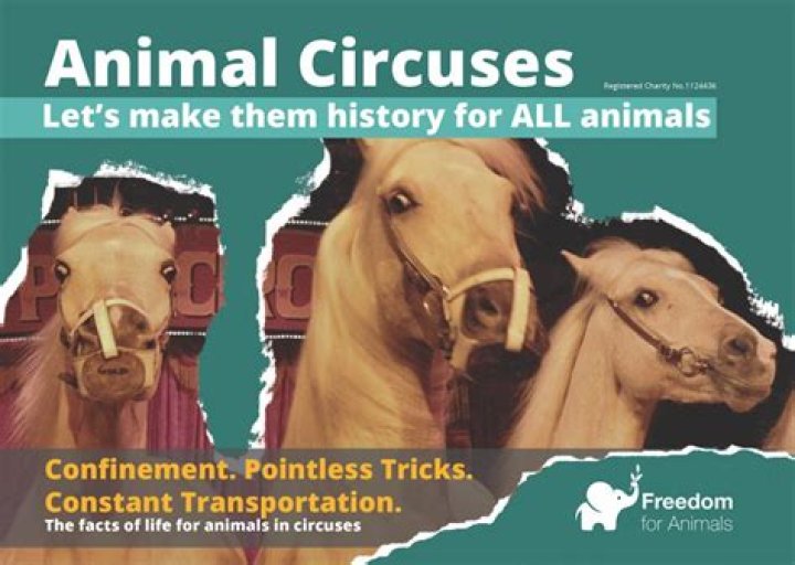 Why should animals be banned from circuses?