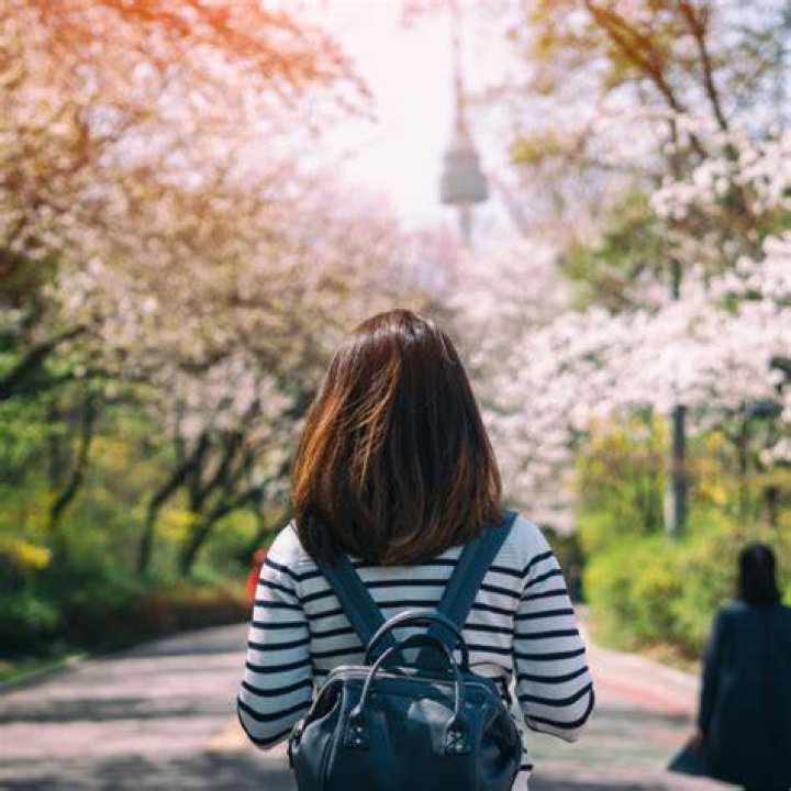 Why south korea is so popular?