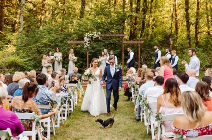 Why throw birdseed weddings?