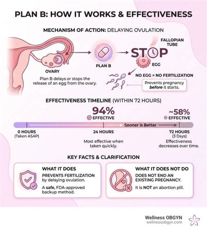Will a plan b work after ovulation?