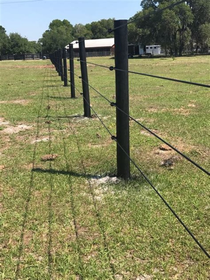 Will black buck jump a fence?