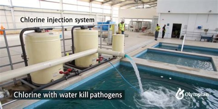 Will chlorinated water hurt plants?