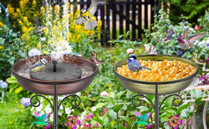 Will hummingbirds use a birdbath?