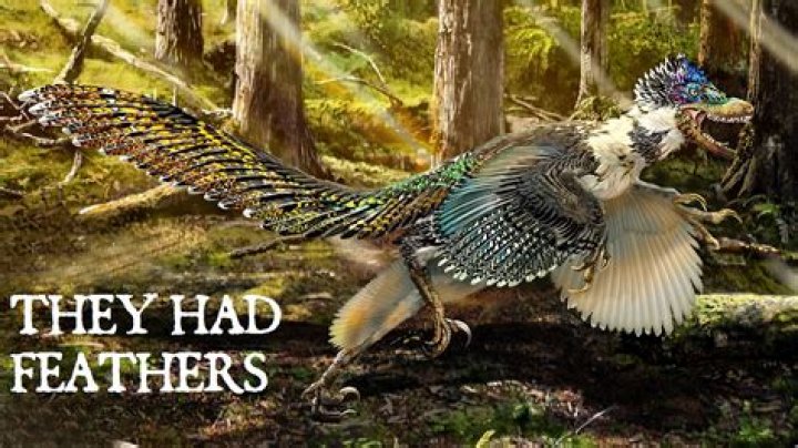 Would t rex have feathers?
