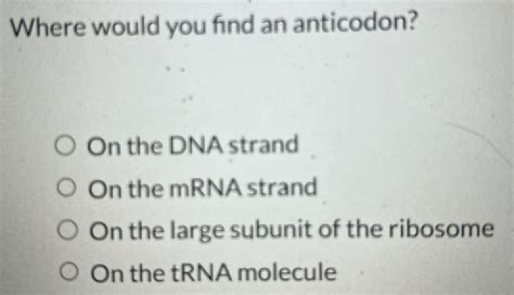 Would you find an anticodon?